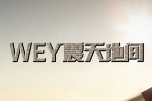 四號店-魏牌、坦克